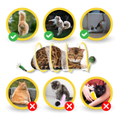 Interactive Compact Cat Tunnel