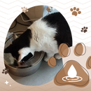 Large Capacity Cat Drinking Fountain