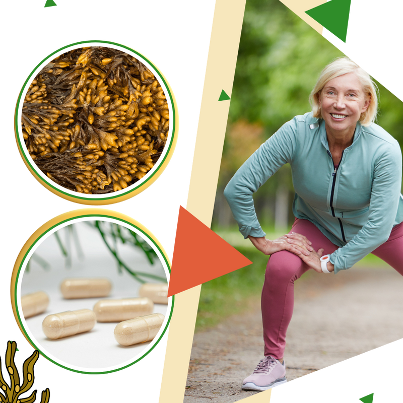 Marine Herb Supplement