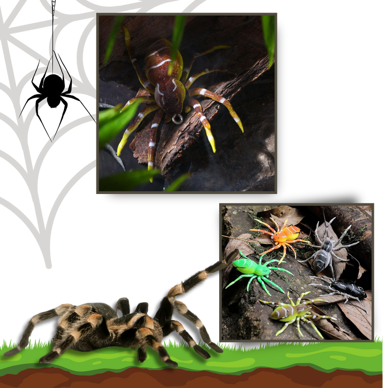Natural Movement Spider Lures