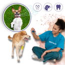 Natural Pet Oral Repair Gel