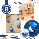 Obstacle Avoidance Dog Ball