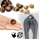 Optimized Chestnut Cutter