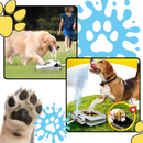 Paw Activated Dog Water Fountain