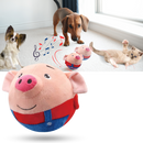 Paw Bounce Sensor Toy