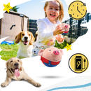 Paw Bounce Sensor Toy