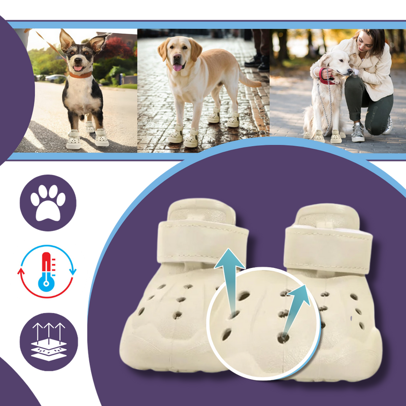 Paw Guard Boots