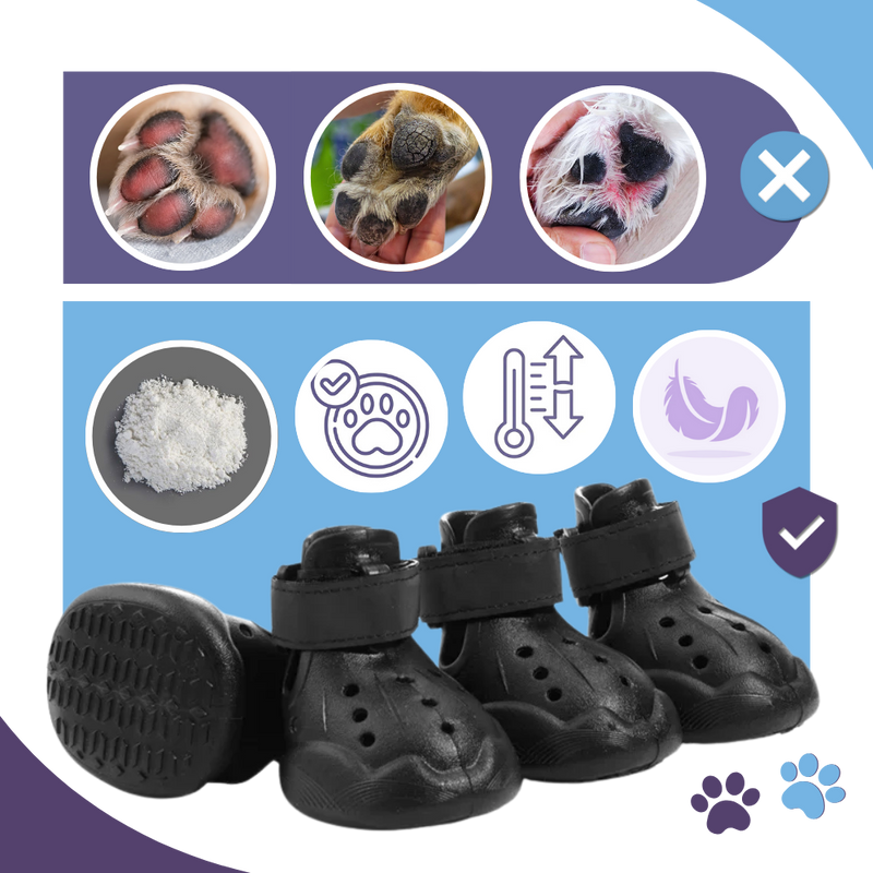 Paw Guard Boots