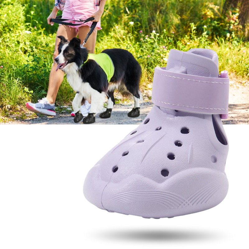 Paw Guard Boots