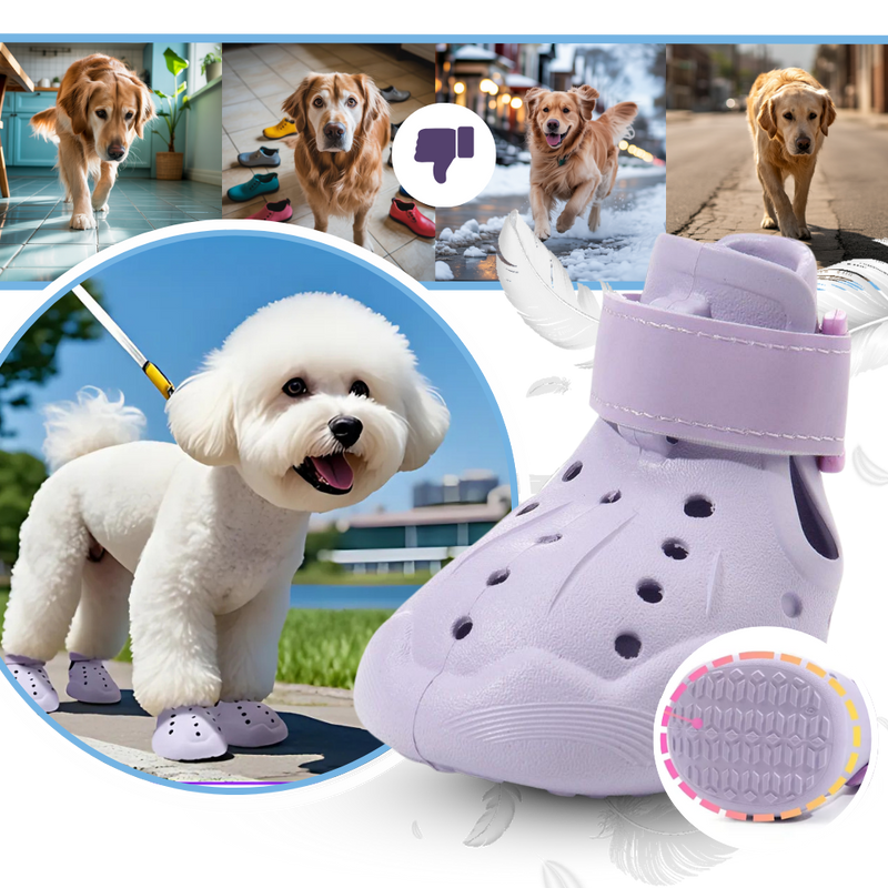 Paw Guard Boots