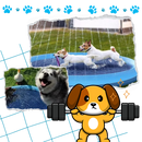 Portable Dog Splash Pad