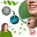 Pure Mint Mouth Freshener