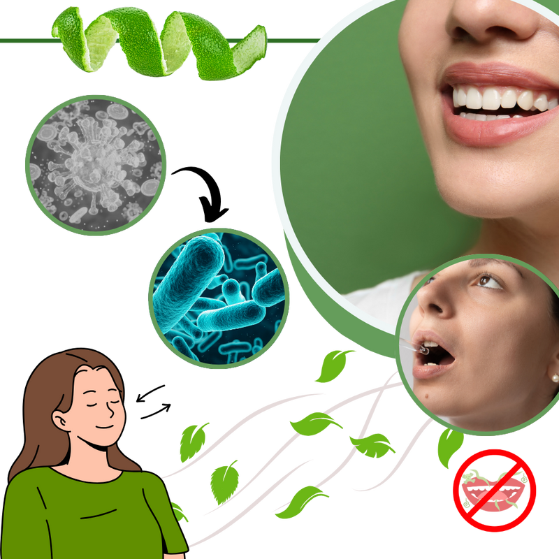 Pure Mint Mouth Freshener