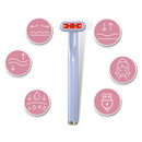 Radiant Renewal Skincare Wand