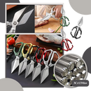 Razor Sharp Kitchen Shear