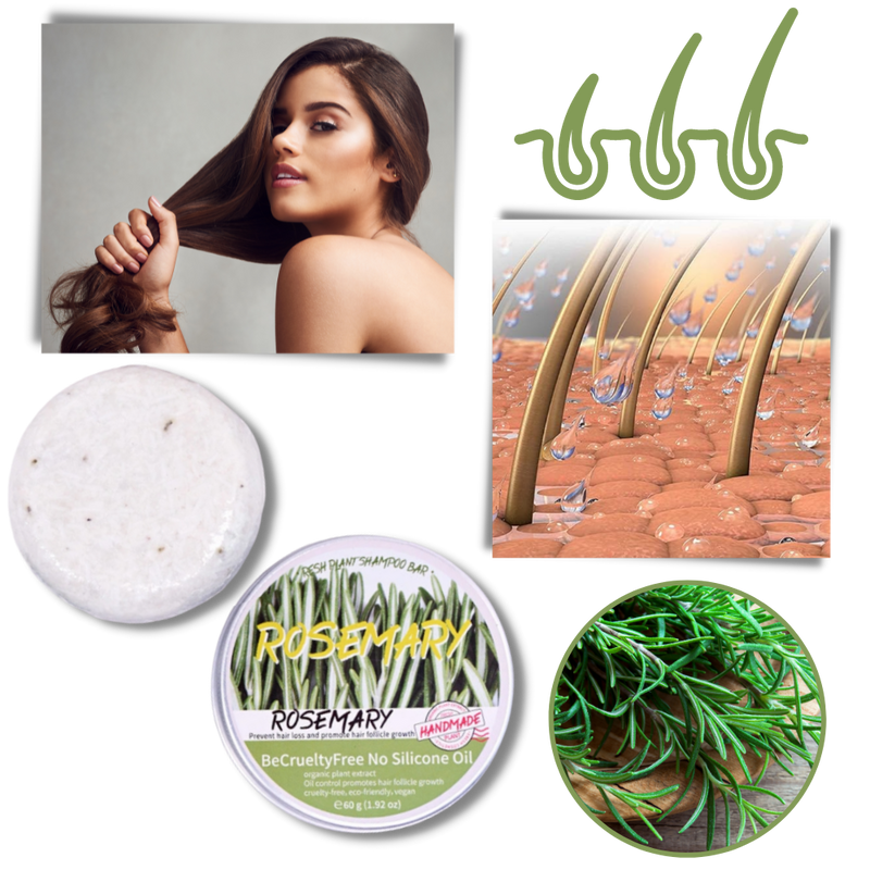 Rosemary Bar Shampoo