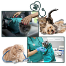 Serene Journey Cat Travel Bag