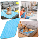 Silk Pet Cooling Pad