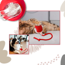 Smart Interactive Cats Ball Toy