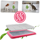 Splash-proof Dog Pee Pads
