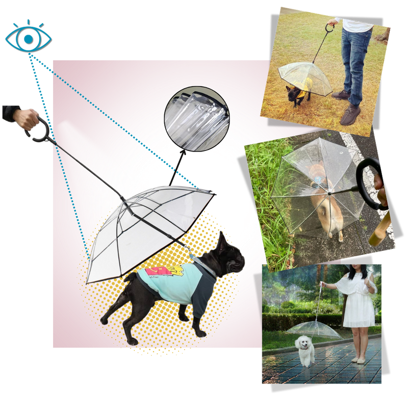 Transparent Dog Umbrella Leash