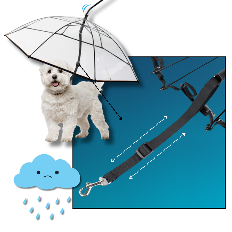Transparent Dog Umbrella Leash