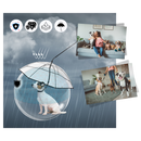 Transparent Dog Umbrella Leash