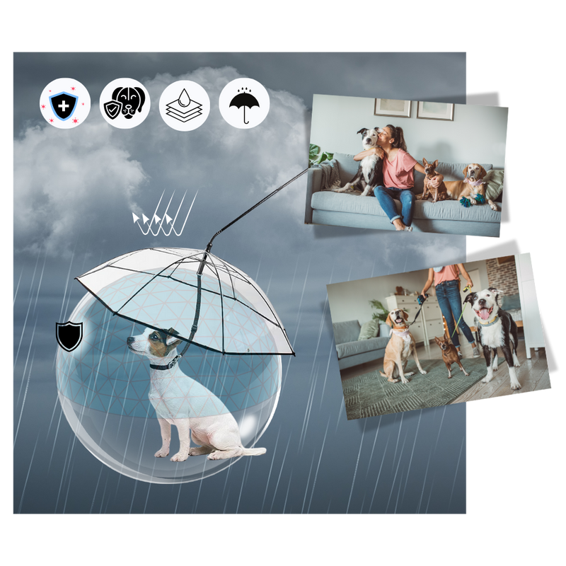 Transparent Dog Umbrella Leash